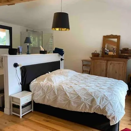 Villa Classee 4 Etoiles Linge Inclus Pour 7 Nuits Min Piscine Et Jacuzzi Bassin D Arcachon *