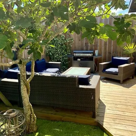 Villa Classee 4 Etoiles 10 A 12 Pers Piscine Et Jacuzzi Bassin D Arcachon *